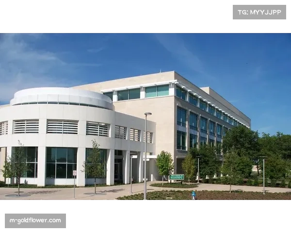 达拉斯AT&T球场启用AI管理与无现金支付，打造2026世界杯智慧观赛新体验